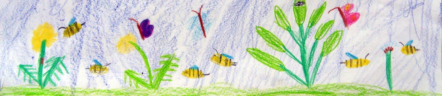 Tagesmütter Augsburg-Land e.V. - Kita-Trägerverband - Eine Kinderzeichnung mit Buntstiften zeigt Bienen und Schmetterlinge auf einer Wiese unter blauem Himmel.