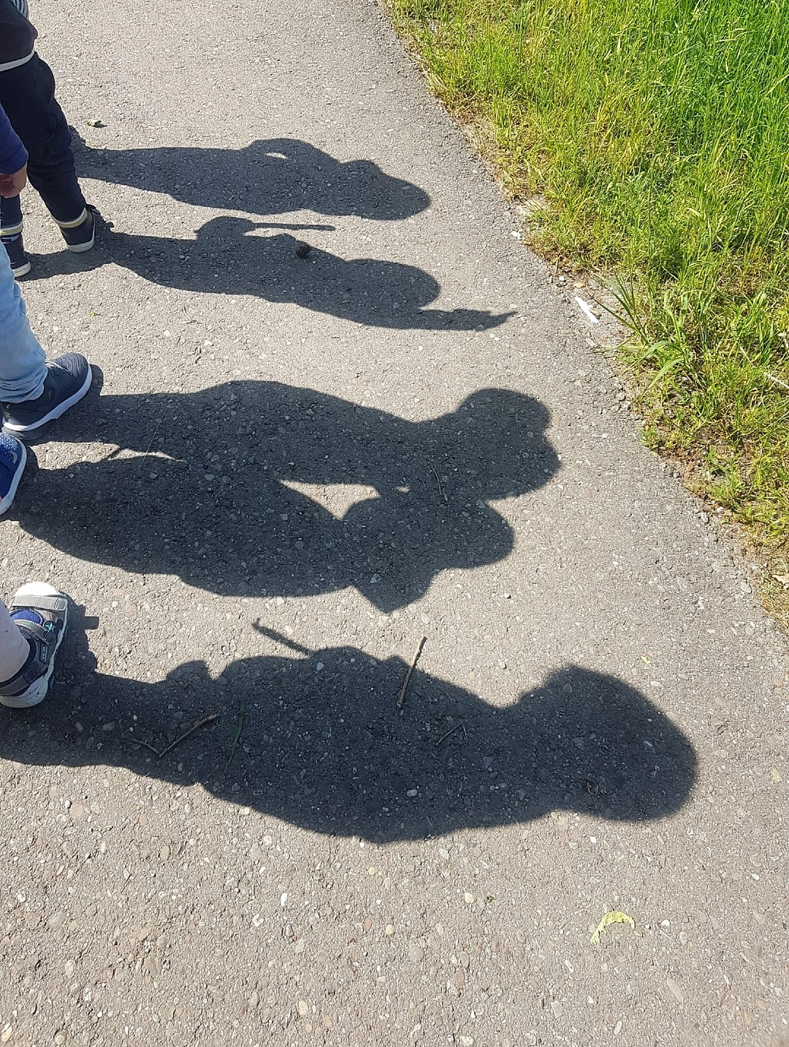 Tagesmütter Augsburg-Land e.V. - Kita-Trägerverband - Eine Reihe Kinder steht auf einem gepflasterten Weg und wirft deutliche Schatten auf den Boden neben einer Rasenfläche.