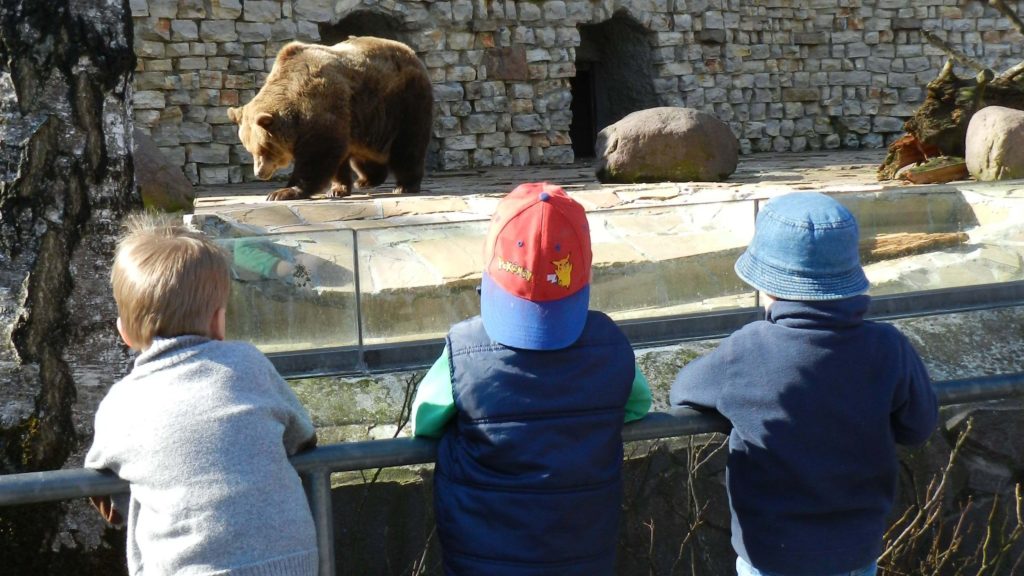 Kinderausflug - Im Zoo